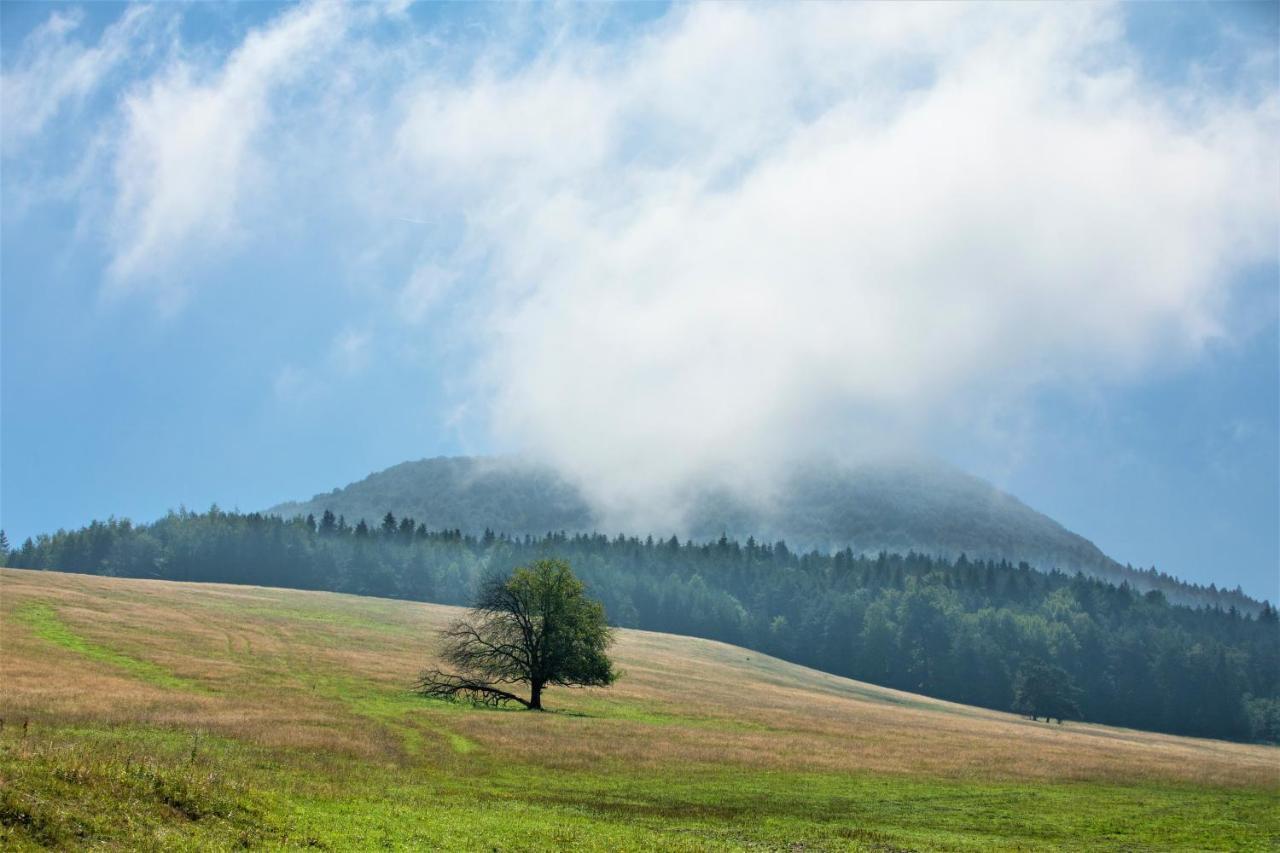 Konska Dolina Tylicz